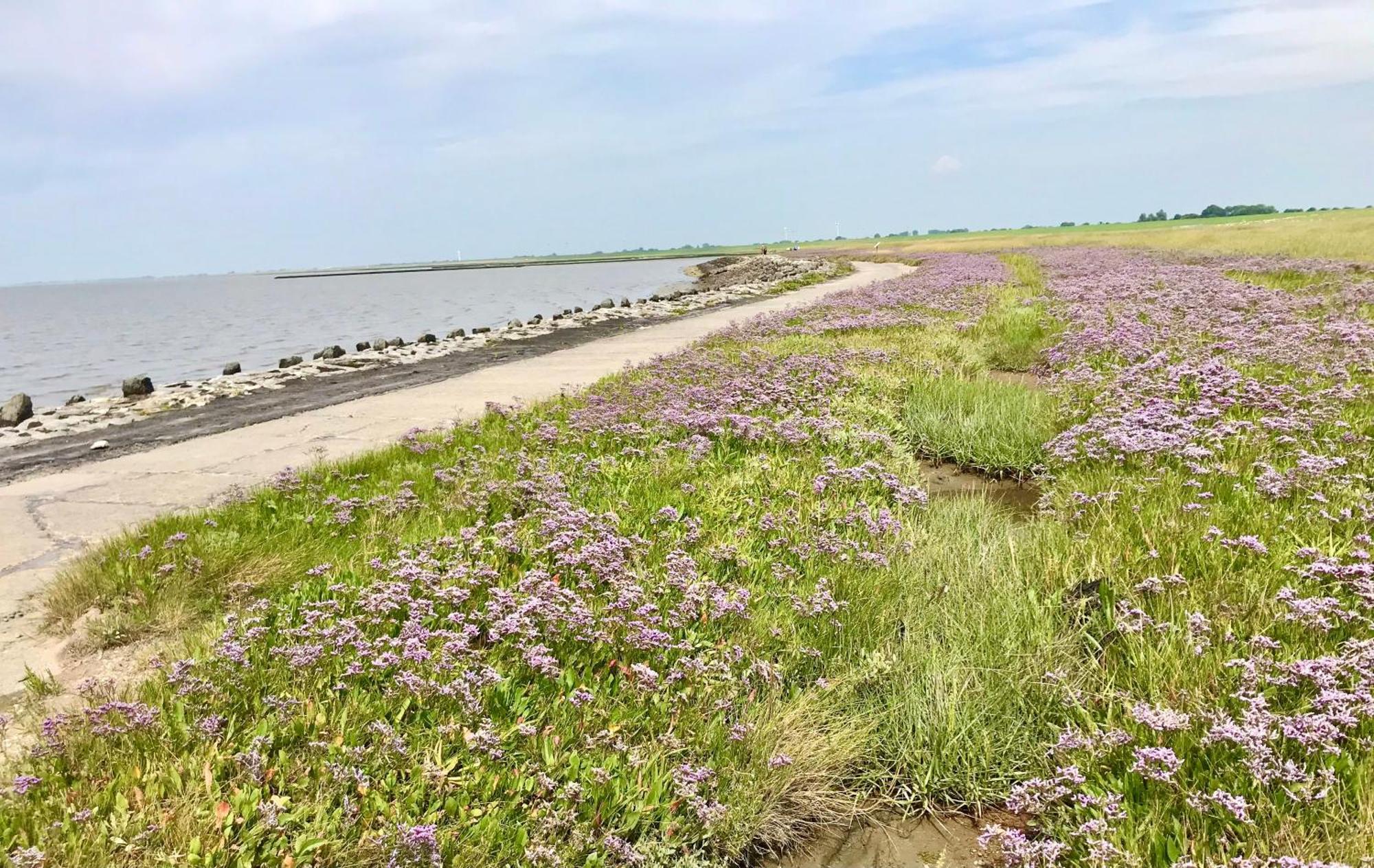Haus Meerauszeit - Erholung An Der Nordsee Schweiburg 外观 照片